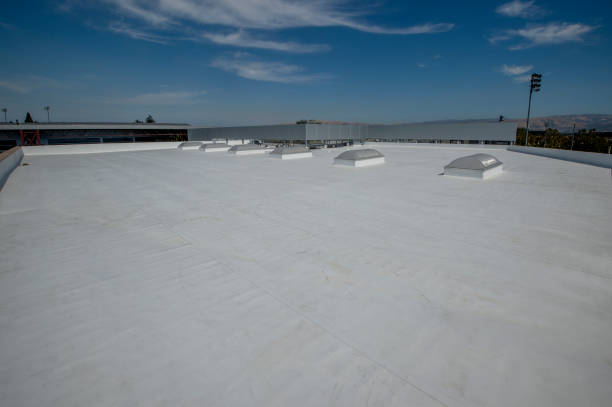 Best Roof Repair  in Belvedere, CA