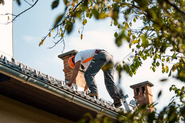 Best Chimney Flashing Repair  in Belvedere, CA