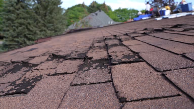 Best Commercial Roofing Services  in Belvedere, CA