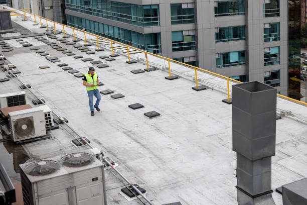 Best Green or Eco-Friendly Roofing Solutions  in Belvedere, CA