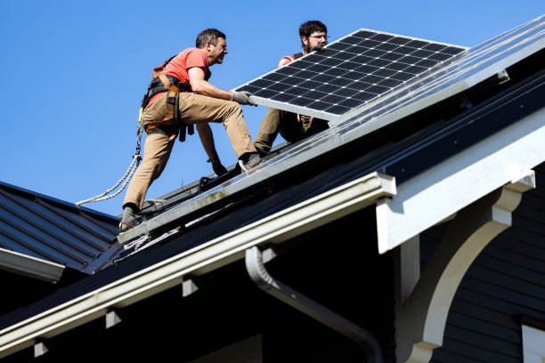 Best Roof Moss and Algae Removal  in Belvedere, CA