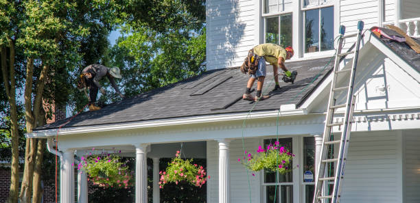 Steel Roofing in Belvedere, CA